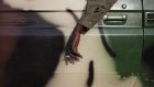 Mali: l’armée se retire de l’important camp militaire de Boulkessi, cible d’attaques jihadistes